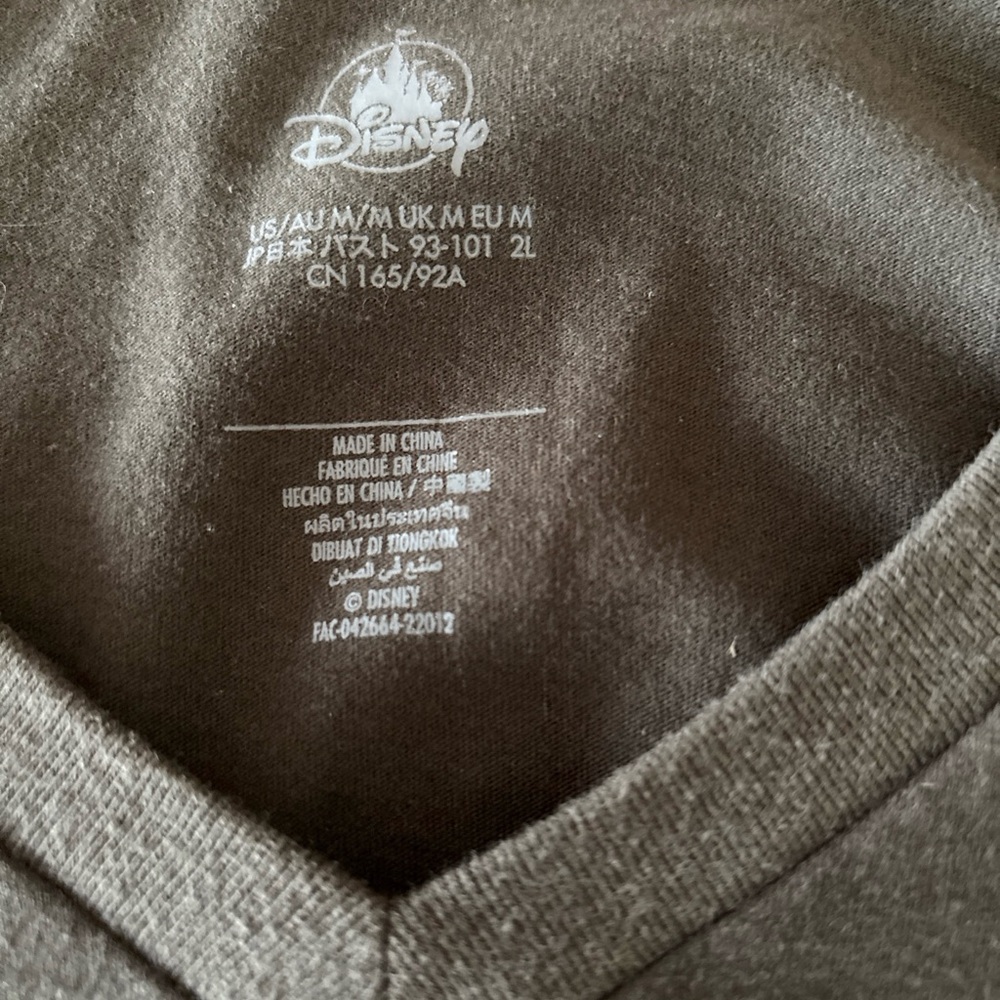 Disney Pride Gray V-Neck T-Shirt - Picture 6 of 6